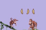 Donkey Kong Country (Game Boy Color)