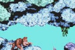 Donkey Kong Country (Game Boy Color)