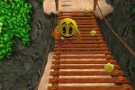 Pac-Man: Adventures in Time (PC)