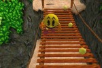 Pac-Man: Adventures in Time (PC)
