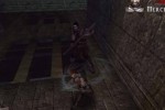 Resurrection: The Return of the Black Dragon (PC)