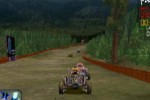 Wild Wild Racing (PlayStation 2)