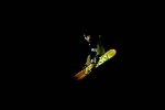 ESPN Winter X-Games Snowboarding (PlayStation 2)