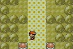 Pokemon Silver Version (Game Boy Color)