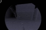 Blair Witch Volume 1: Rustin Parr (PC)