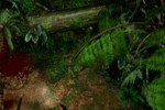 Dino Crisis 2 (PlayStation)