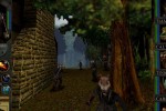 Wizards & Warriors (PC)