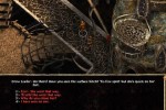 Baldur's Gate II: Shadows of Amn (PC)