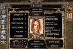 Baldur's Gate II: Shadows of Amn (PC)