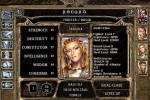 Baldur's Gate II: Shadows of Amn (PC)