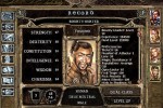 Baldur's Gate II: Shadows of Amn (PC)