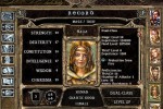 Baldur's Gate II: Shadows of Amn (PC)