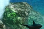 Ecco the Dolphin: Defender of the Future (Dreamcast)