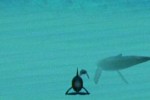 Ecco the Dolphin: Defender of the Future (Dreamcast)