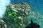Ecco the Dolphin: Defender of the Future (Dreamcast)