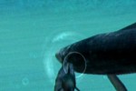 Ecco the Dolphin: Defender of the Future (Dreamcast)