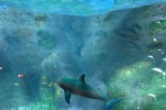 Ecco the Dolphin: Defender of the Future (Dreamcast)