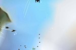 Homeworld: Cataclysm (PC)