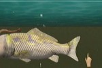 Seaman (Dreamcast)