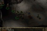 Icewind Dale (PC)