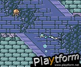 Tomb Raider (Game Boy Color)