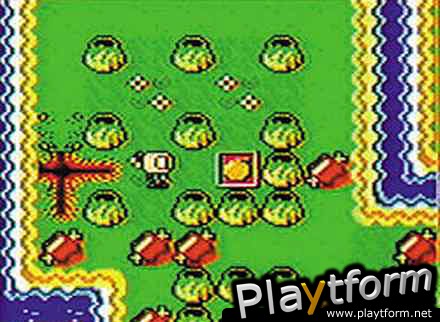 Bomberman Max Blue: Champion (Game Boy Color)
