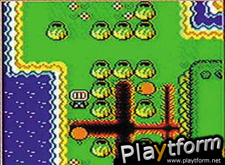 Bomberman Max Blue: Champion (Game Boy Color)