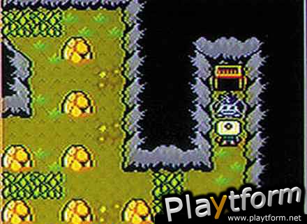 Bomberman Max Blue: Champion (Game Boy Color)