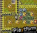 Bomberman Max Blue: Champion (Game Boy Color)