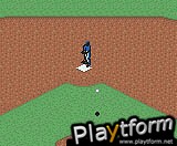 All-Star Baseball 2001 (Game Boy Color)