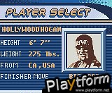 WCW Mayhem (Game Boy Color)