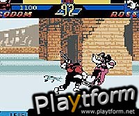 Street Fighter Alpha: Warriors' Dreams (Game Boy Color)