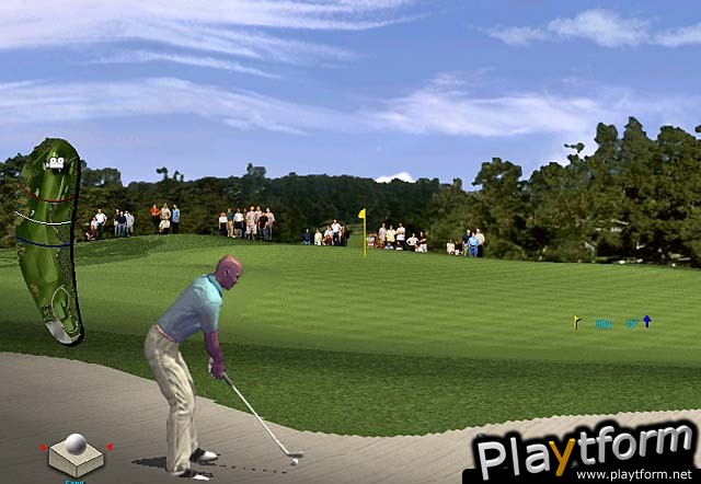 Tiger Woods PGA Tour 2000 (PC)