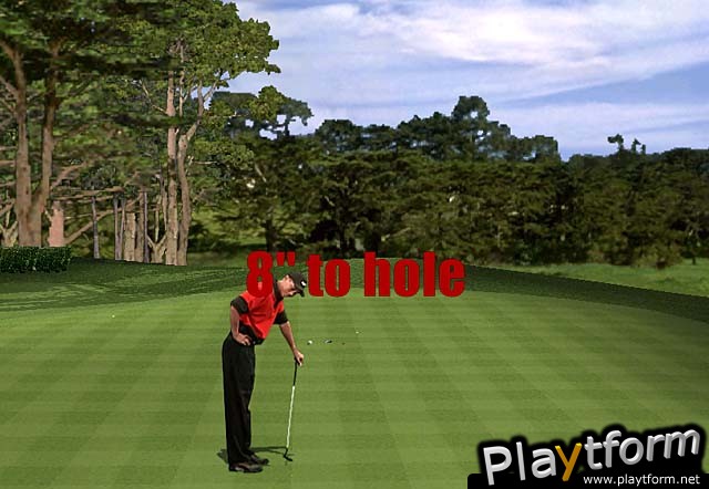 Tiger Woods PGA Tour 2000 (PC)