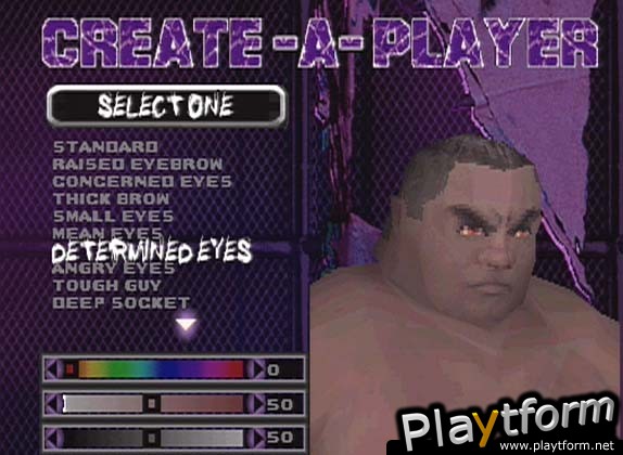 ECW Hardcore Revolution (PlayStation)