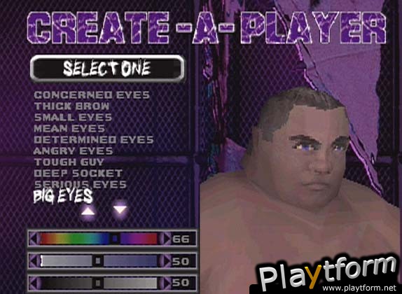 ECW Hardcore Revolution (PlayStation)