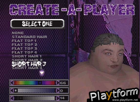 ECW Hardcore Revolution (PlayStation)