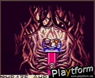 Dragon Warrior Monsters (Game Boy Color)
