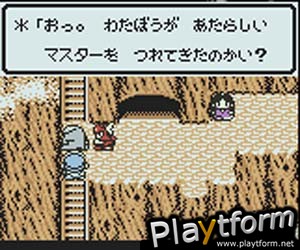 Dragon Warrior Monsters (Game Boy Color)