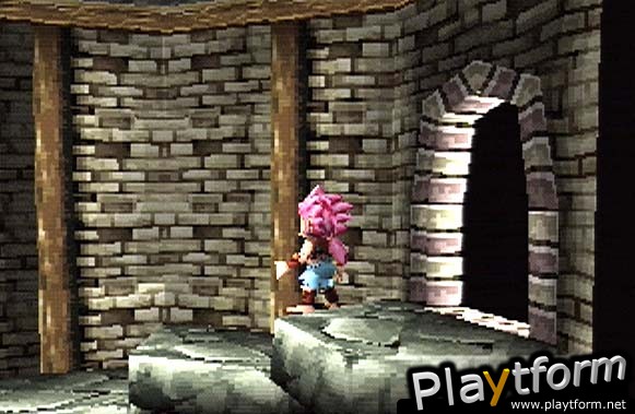 Tomba! 2: The Evil Swine Return (PlayStation)