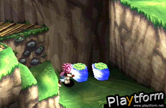 Tomba! 2: The Evil Swine Return (PlayStation)