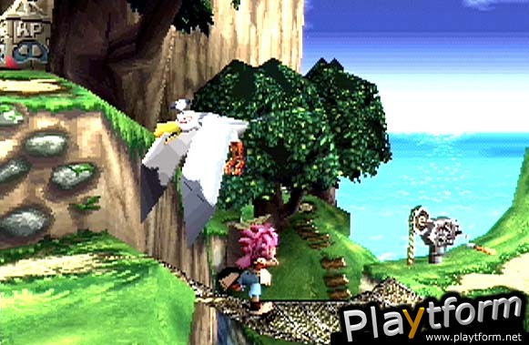 Tomba! 2: The Evil Swine Return (PlayStation)