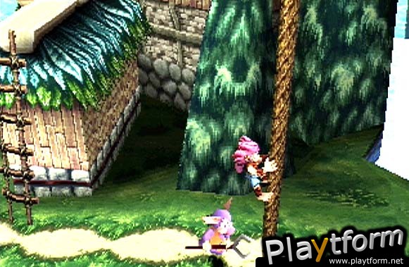 Tomba! 2: The Evil Swine Return (PlayStation)