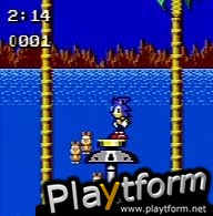 Sonic the Hedgehog: Pocket Adventure (NeoGeo Pocket Color)