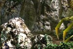 The Legend of Dragoon (PlayStation)
