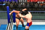 All Star Pro-Wrestling (PlayStation 2)