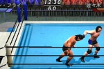 All Star Pro-Wrestling (PlayStation 2)