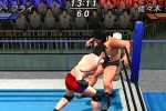 All Star Pro-Wrestling (PlayStation 2)