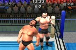 All Star Pro-Wrestling (PlayStation 2)