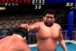All Star Pro-Wrestling (PlayStation 2)
